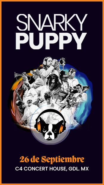 Snarky Puppy